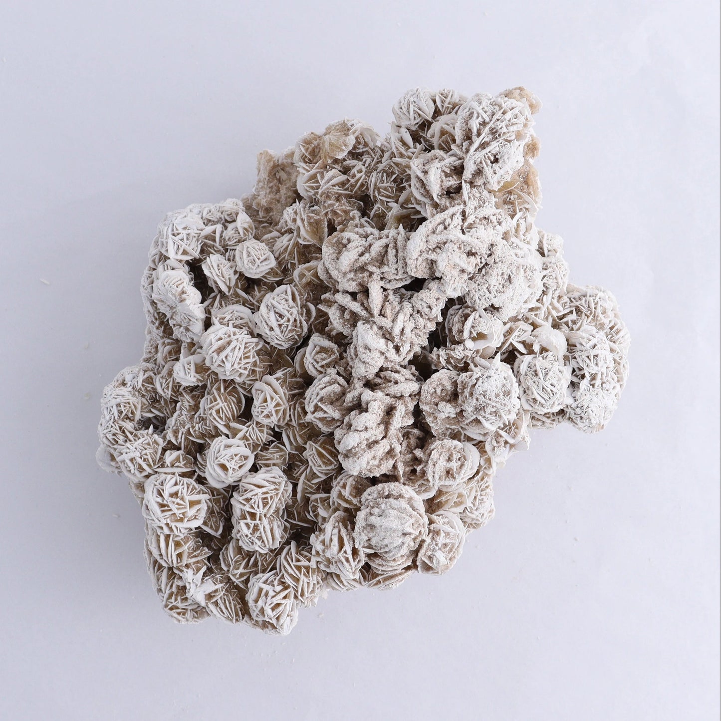 Desert Rose Selenite  Large Collection Piece - Moon Room Shop and Wellness