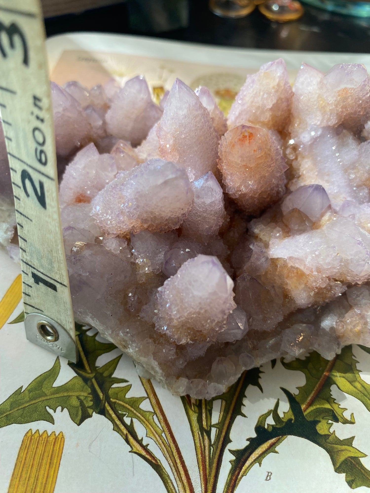 Spirit Quartz Cluster 1.28 lbs South Africa - Moon Room Shop and Wellness