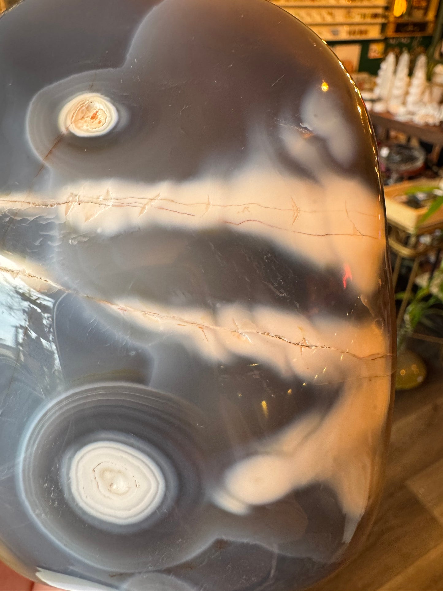 Orca Agate Freeform 1.24 lb - Moon Room Shop and Wellness