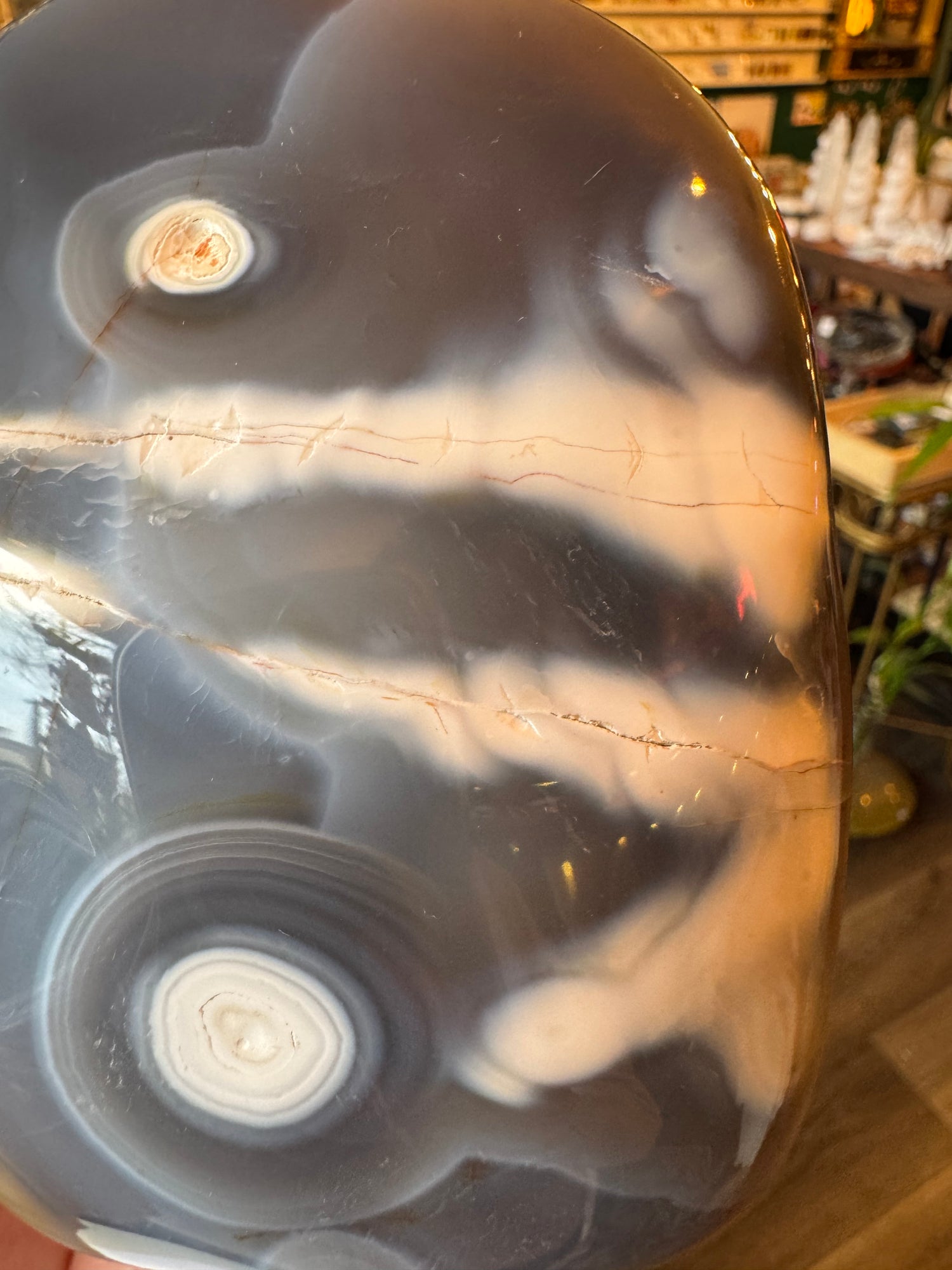 Orca Agate Freeform 1.24 lb - Moon Room Shop and Wellness