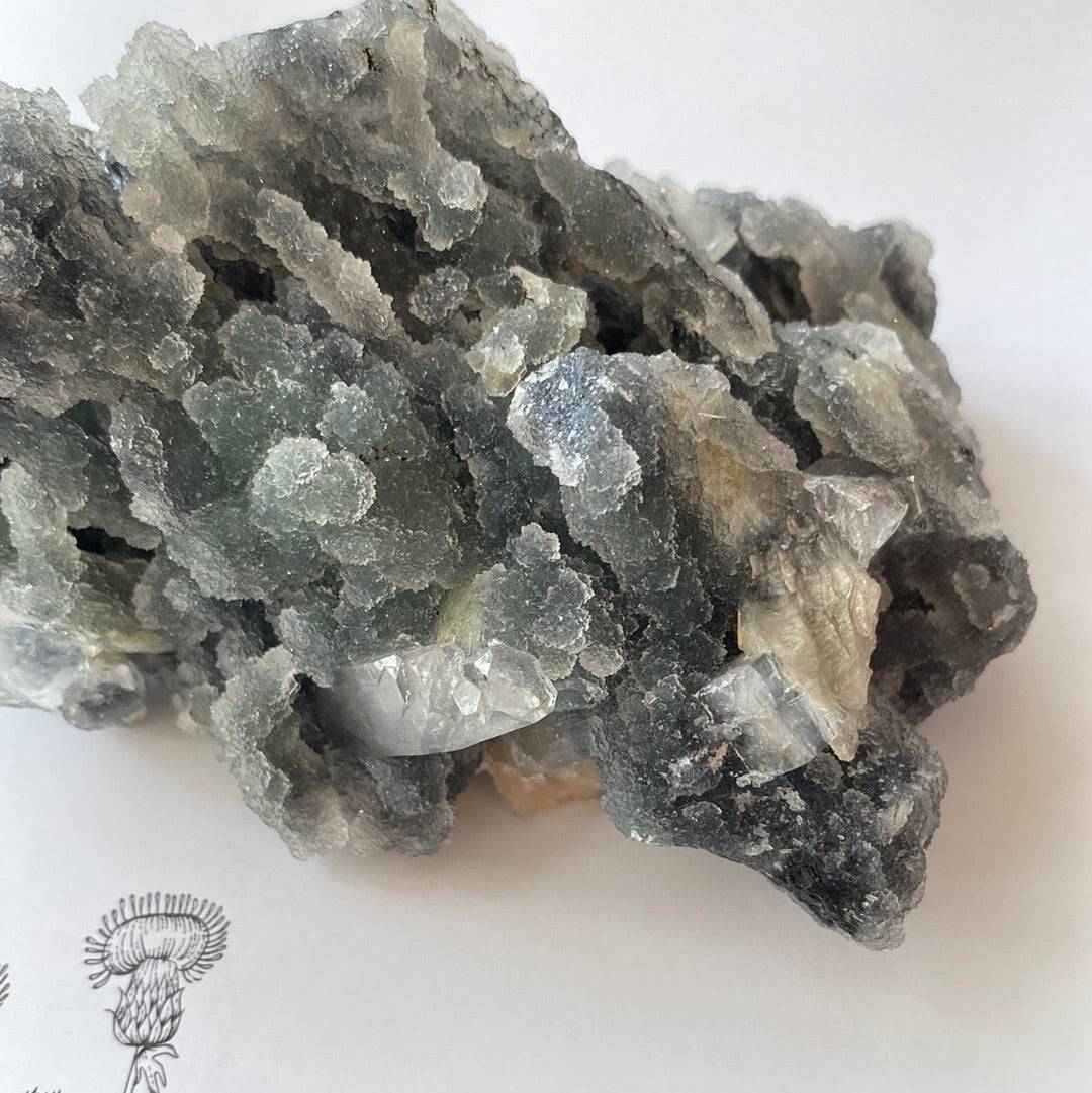 Druzy Chalcedony with Apophyllite and Stilbite 353 g - Moon Room Shop and Wellness