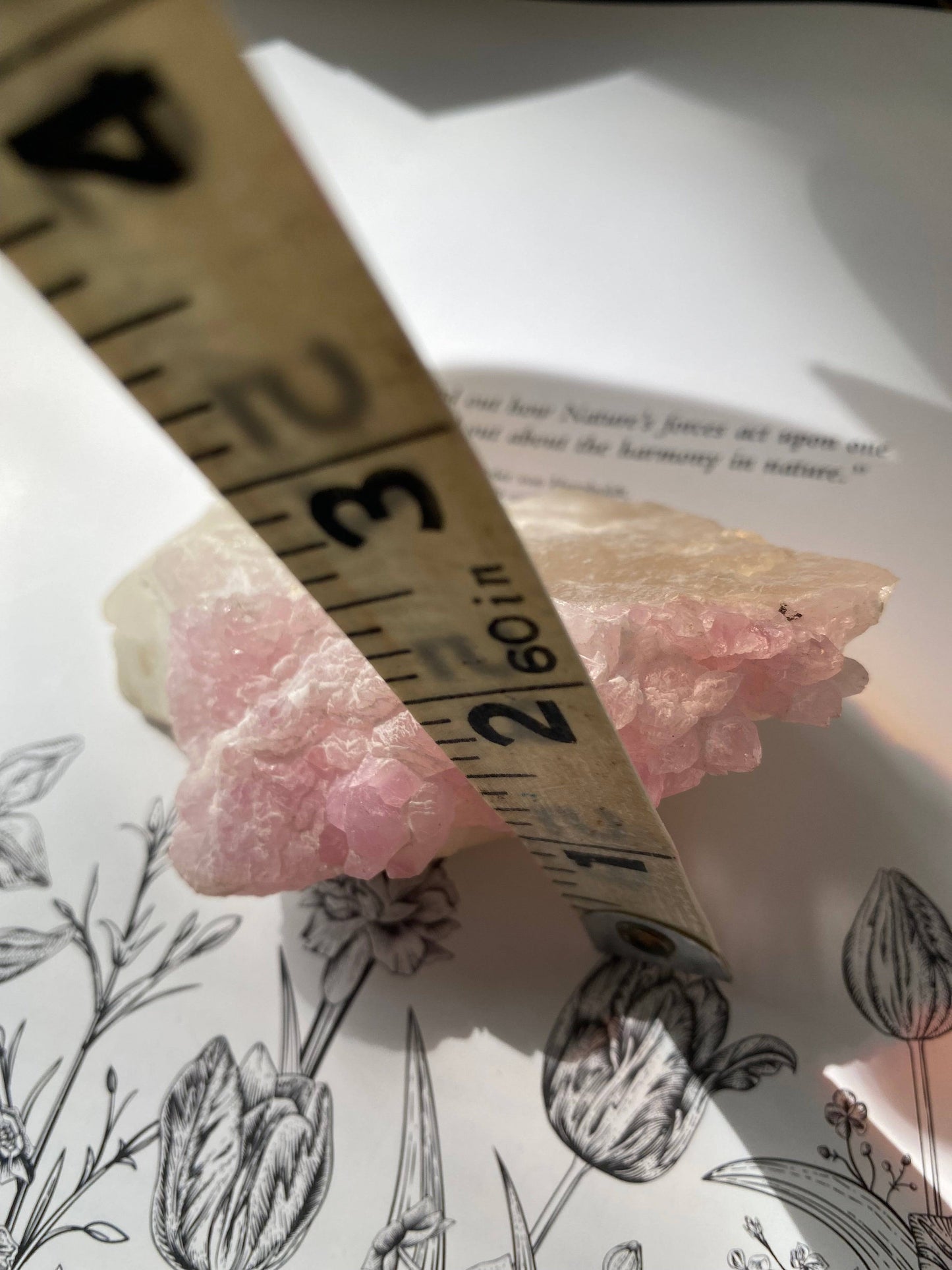 Rose Quartz Crystal Cluster 185 g Brazil - Moon Room Shop and Wellness