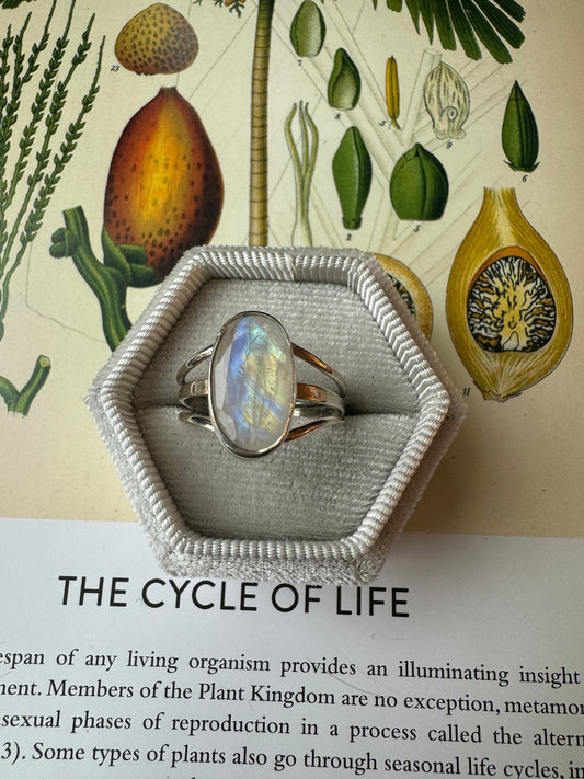 Moonstone Sterling Silver Ring Size 9 - Moon Room Shop and Wellness