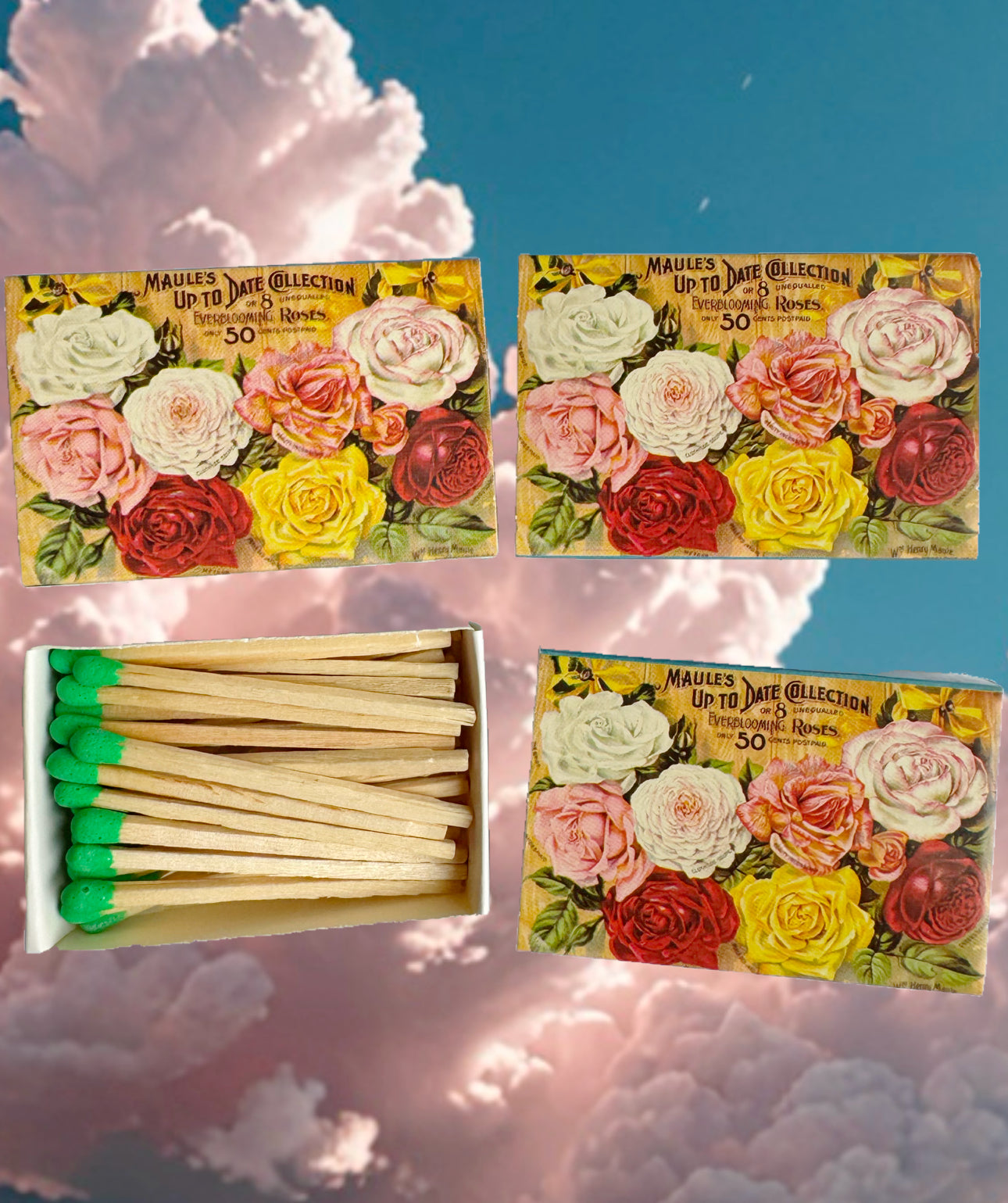 Flower Matchbox #3 - Moon Room Shop and Wellness