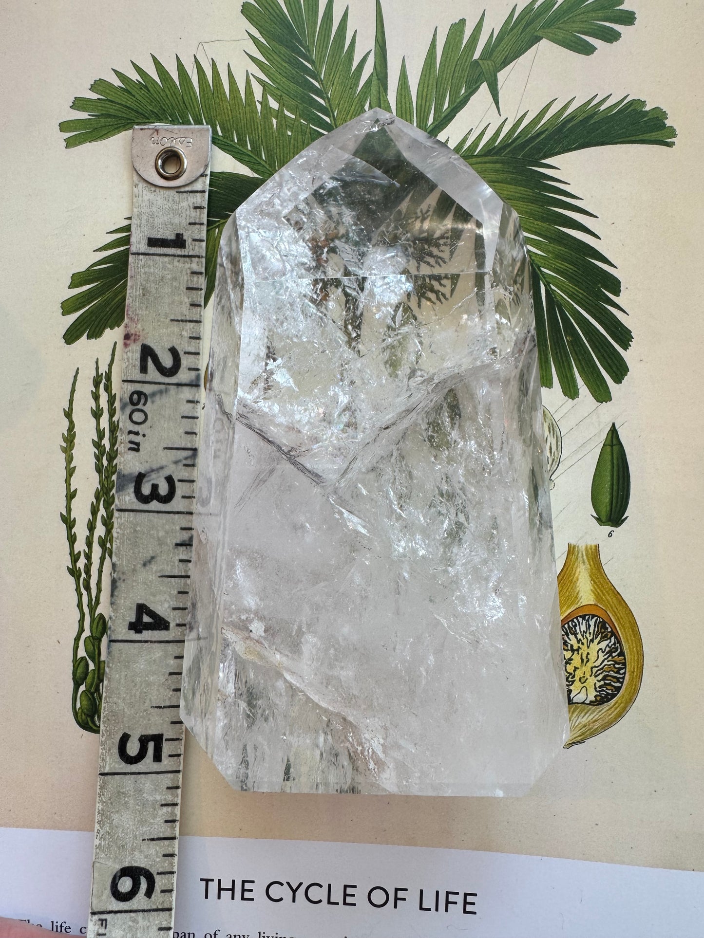 Clear Quartz Tower Brazil Beauty 1.03 lbs - Moon Room Shop and Wellness