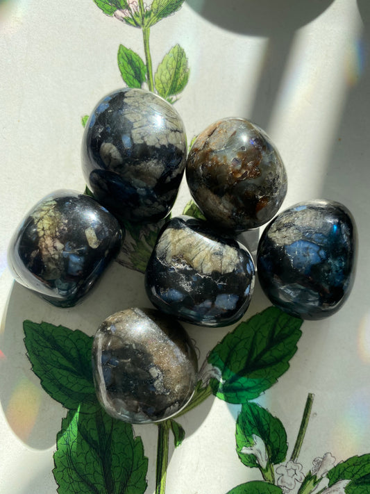 Llanite Tumbled - Moon Room Shop and Wellness