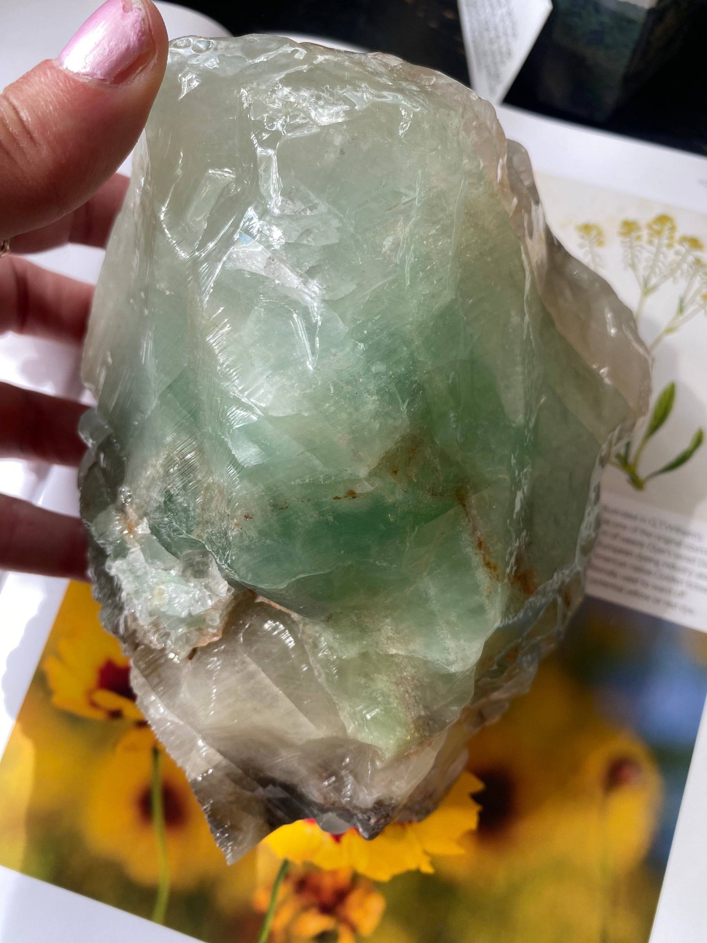 Green Calcite Freeform 3.67 lbs - Moon Room Shop and Wellness