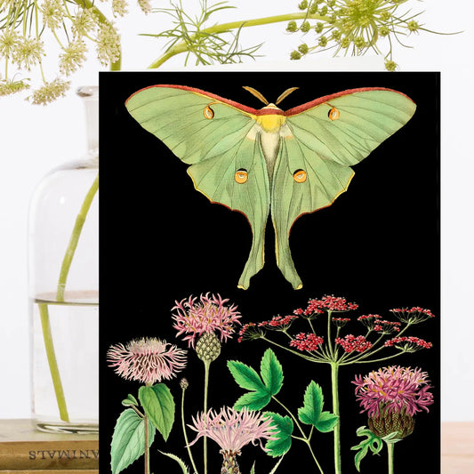 Night Moth Botanical Greeting Card- Blank - Moon Room Shop and Wellness