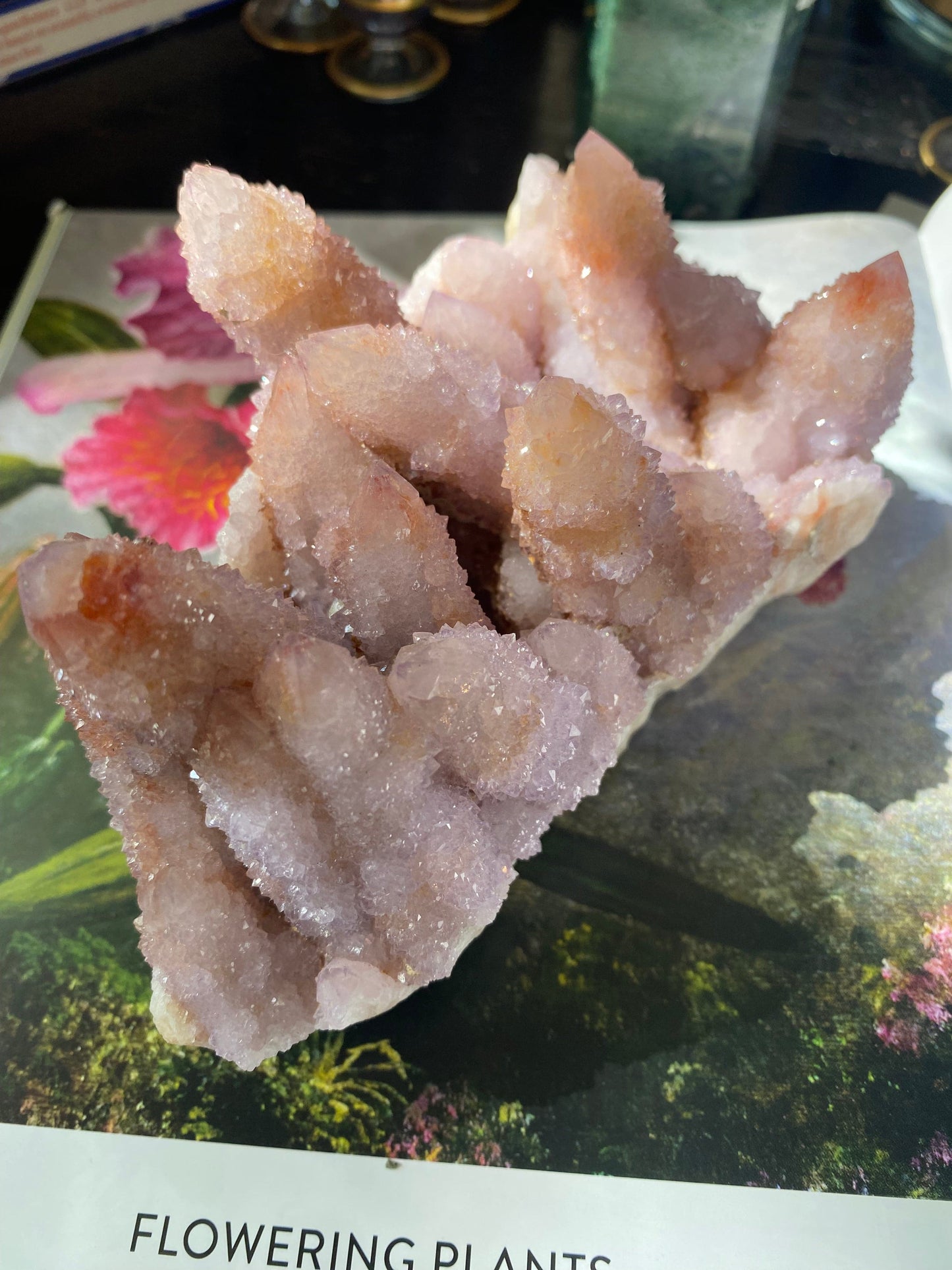 Spirit Quartz Cluster 1.57 lbs South Africa - Moon Room Shop and Wellness