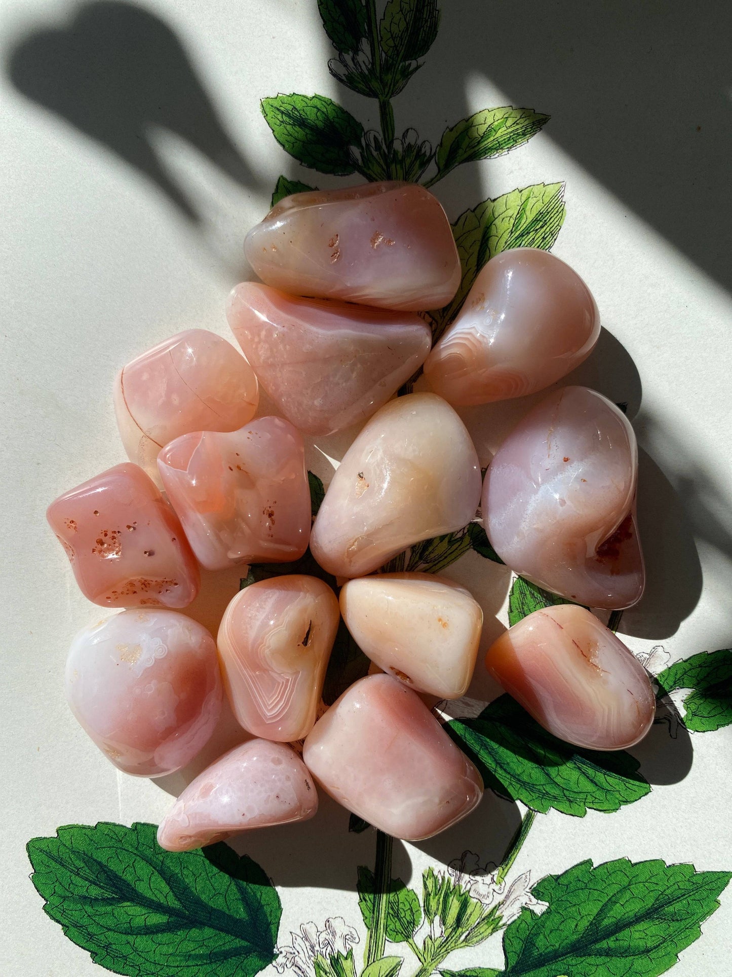 Apricot Agate Tumbled - Moon Room Shop and Wellness