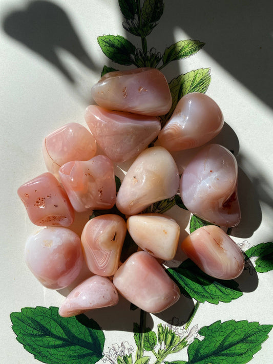 Apricot Agate Tumbled - Moon Room Shop and Wellness