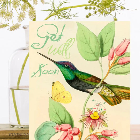 Hummingbird Caregiver - Get Well Soon! Greeting Card- Blank - Moon Room Shop and Wellness