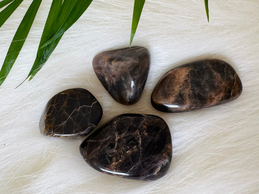 Black Moonstone Tumble - Moon Room Shop and Wellness