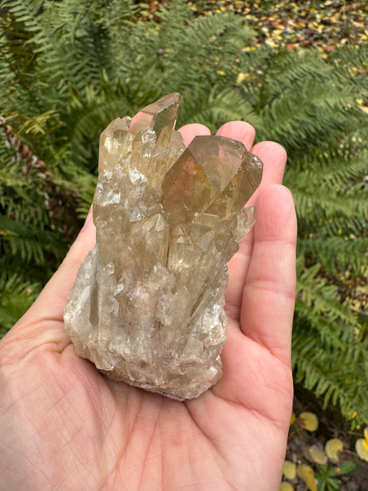 Kundalini Citrine 158 g - Moon Room Shop and Wellness