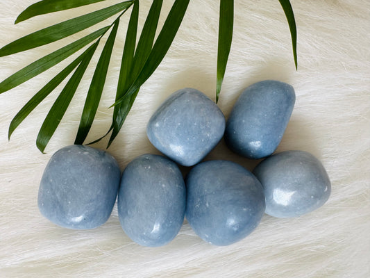 Angelite Tumbled Stone - Moon Room Shop and Wellness