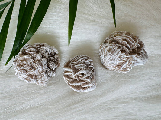 Desert Rose Selenite - Moon Room Shop and Wellness