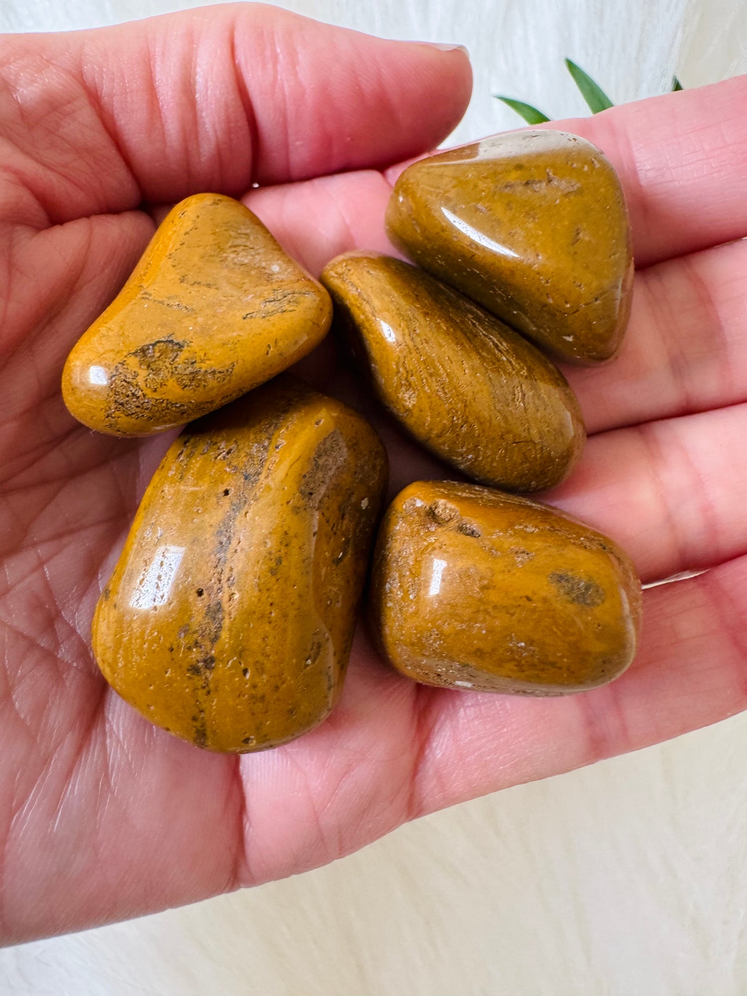 Yellow Jasper Tumbled - Moon Room Shop and Wellness
