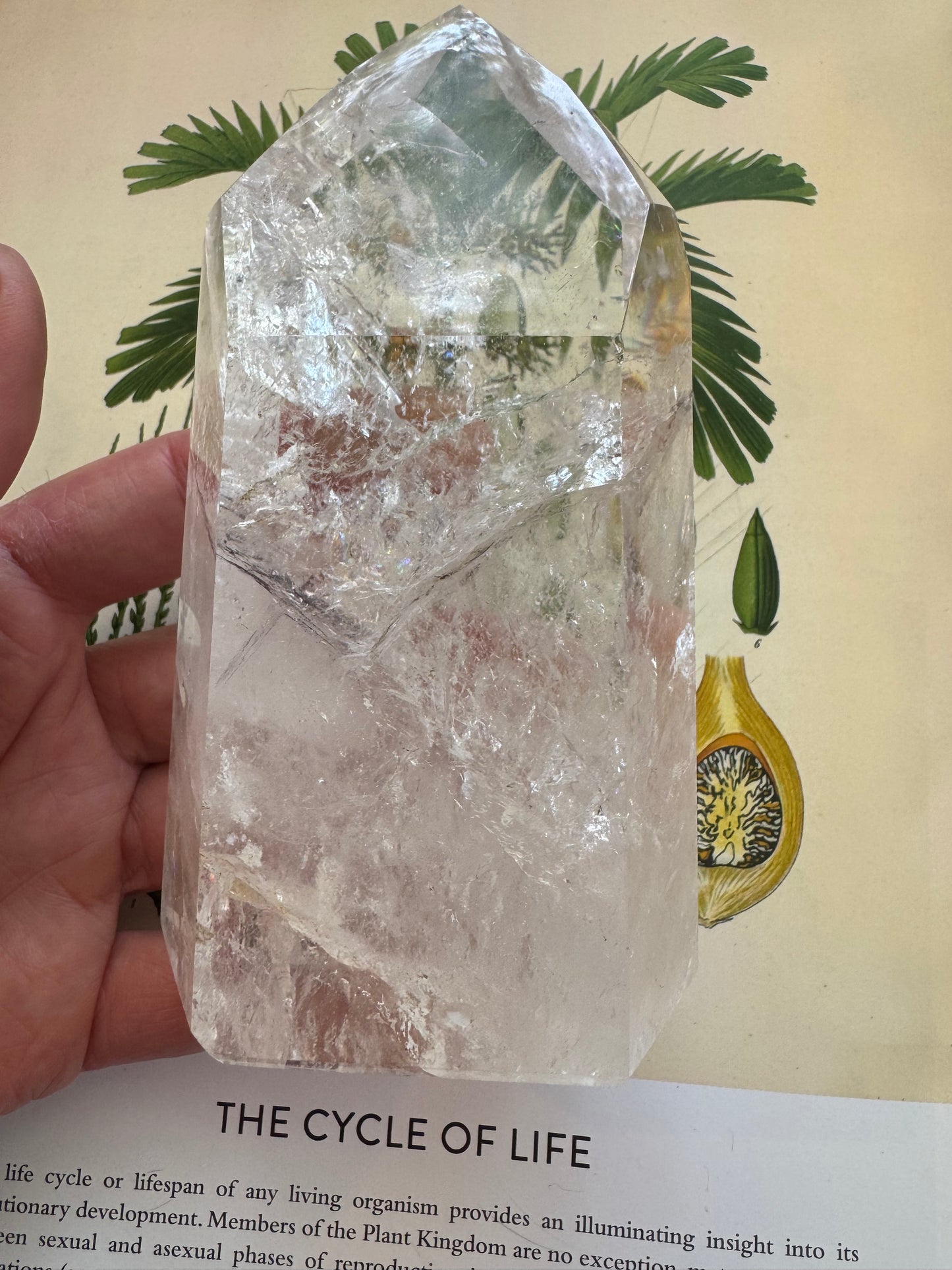 Clear Quartz Tower Brazil Beauty 1.03 lbs - Moon Room Shop and Wellness