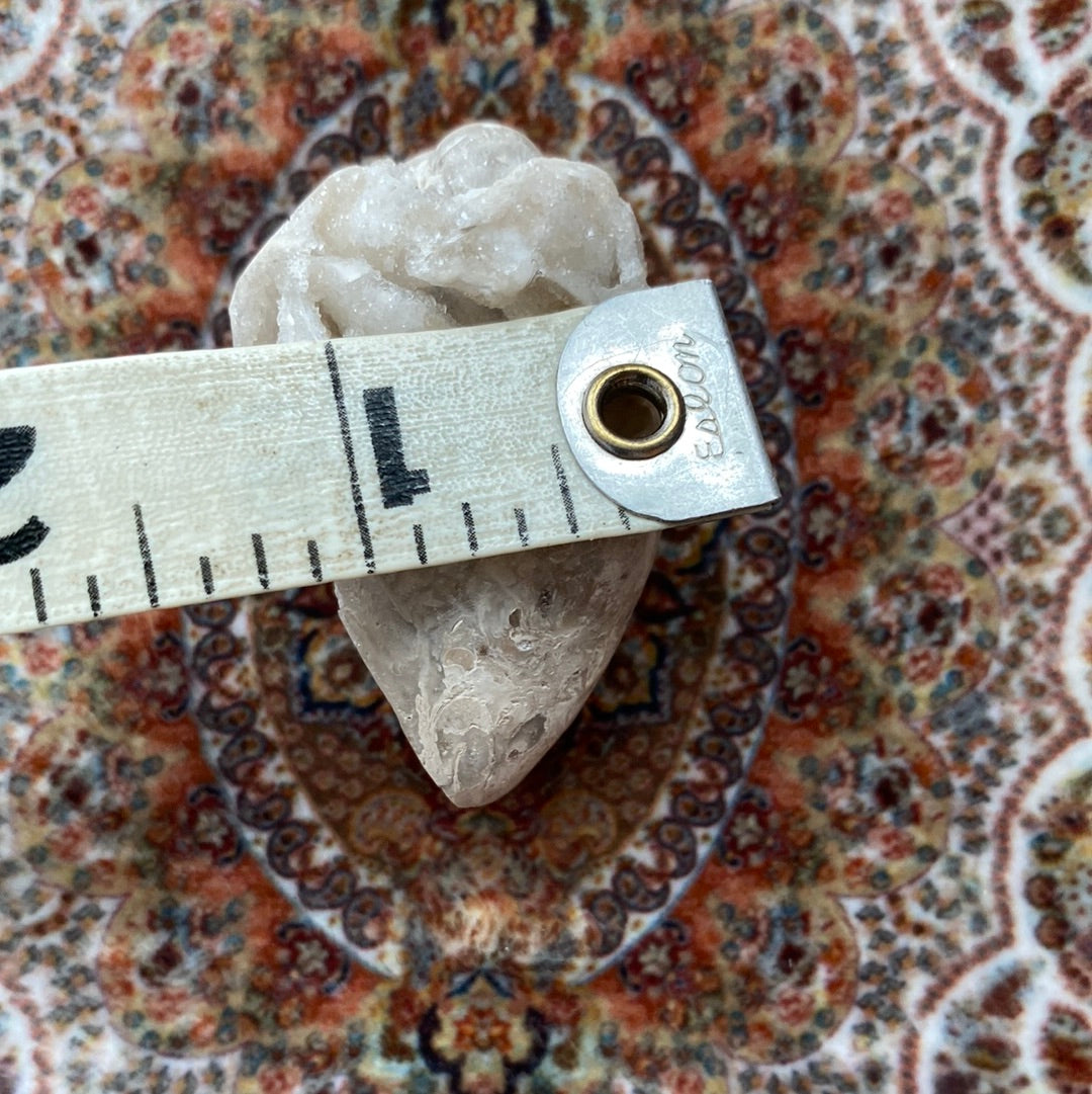 Spiralite Fossilized Gemshells w/ Quartz 31 g - Moon Room Shop and Wellness