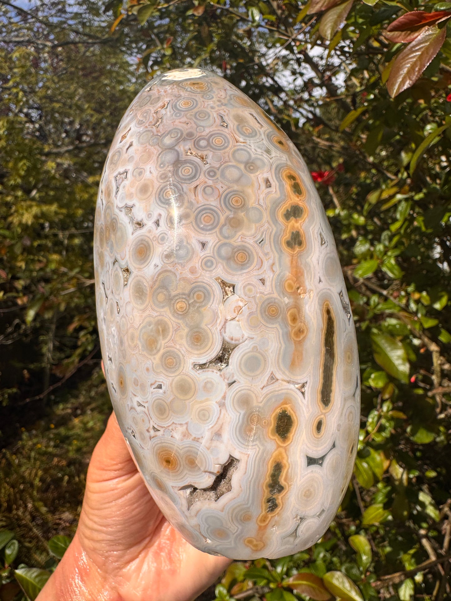 Ocean Jasper Freeform 4.23 lb Madagascar - Moon Room Shop and Wellness