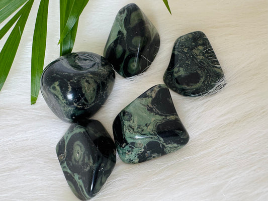 Kambaba Jasper Tumbled Madagascar - Moon Room Shop and Wellness