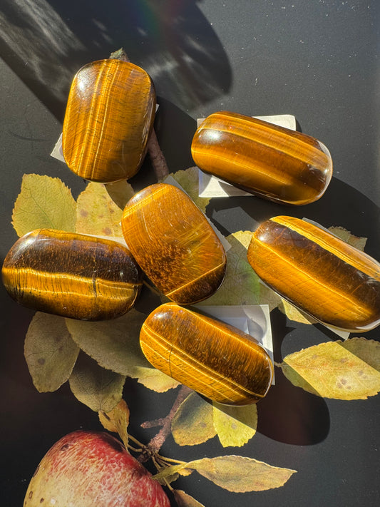 Tiger's Eye Palm Stone 40-50 g - Moon Room Shop and Wellness