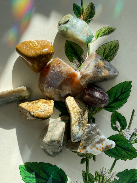 Ocean Jasper Tumbled - Ethically Sourced - Moon Room Shop and Wellness