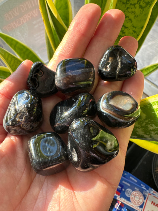 Tumbled Black Onyx - Moon Room Shop and Wellness