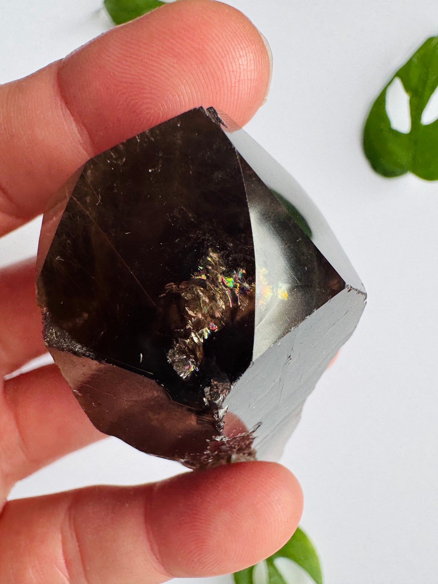 Smoky Quartz Rutilated Beauty 84 g. Brazil - Moon Room Shop and Wellness