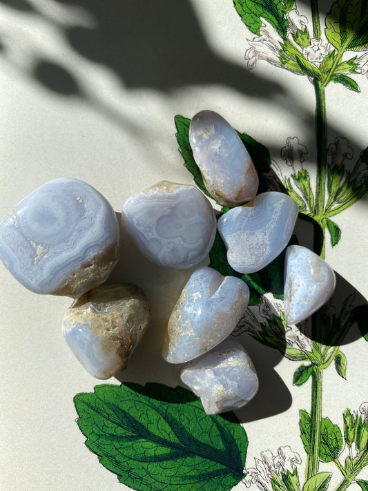 Blue Lace Agate Tumbled - Moon Room Shop and Wellness