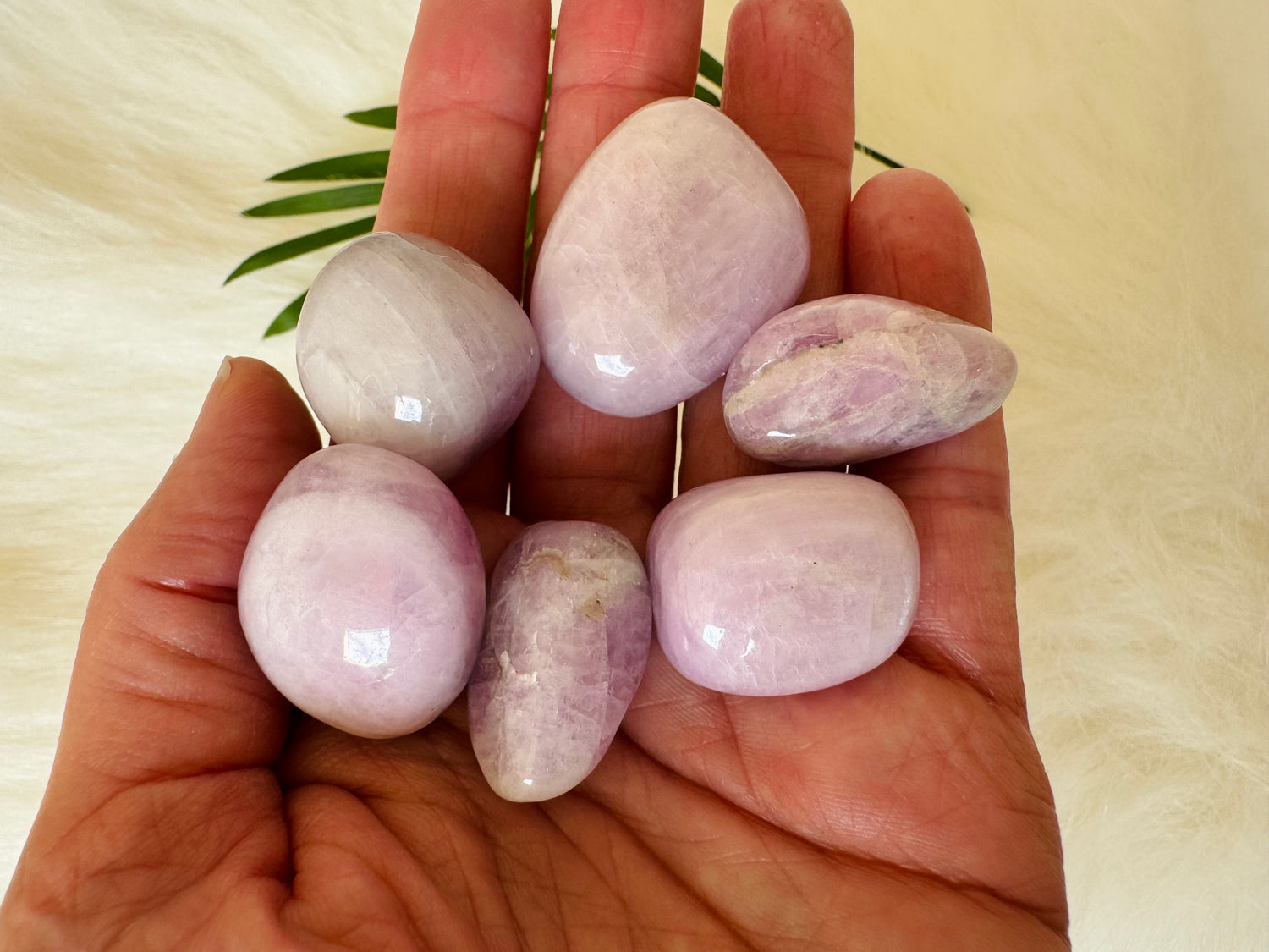 Kunzite Tumbled - Moon Room Shop and Wellness
