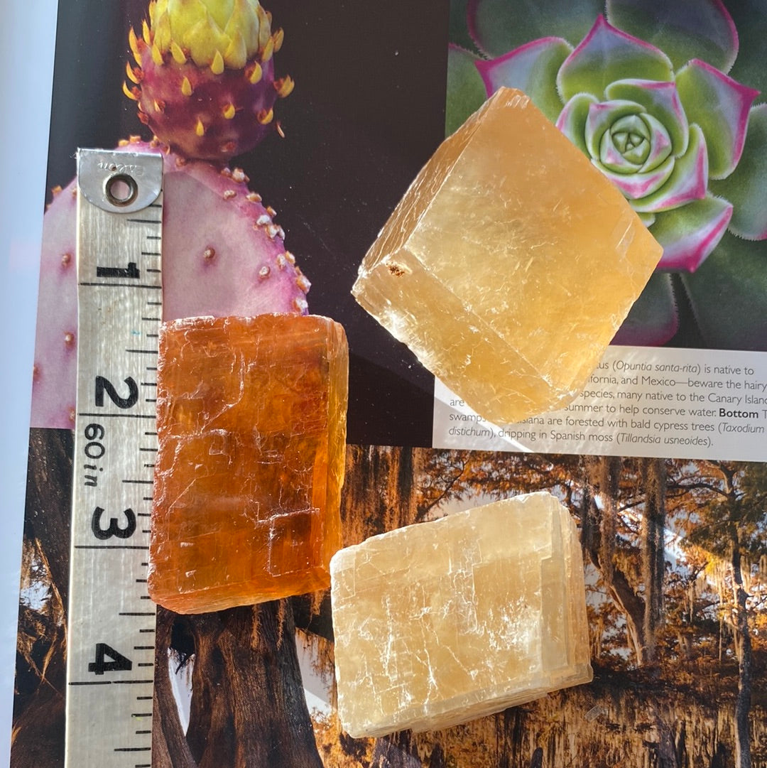 Honey Optical Calcite - Moon Room Shop and Wellness