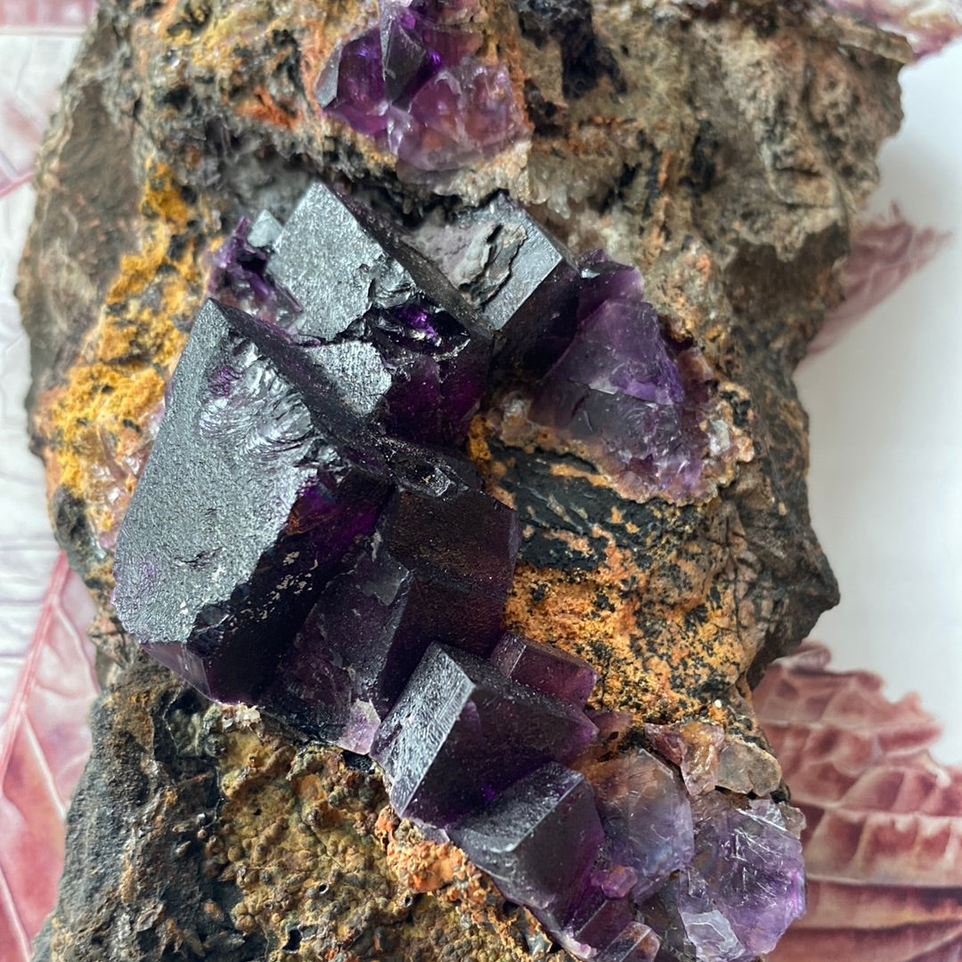Purple Cubic Fluorite Specimen - Moon Room Shop and Wellness
