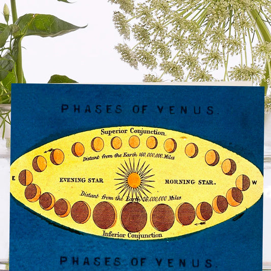 Phases of Venus Vintage Greeting Card- Blank - Moon Room Shop and Wellness