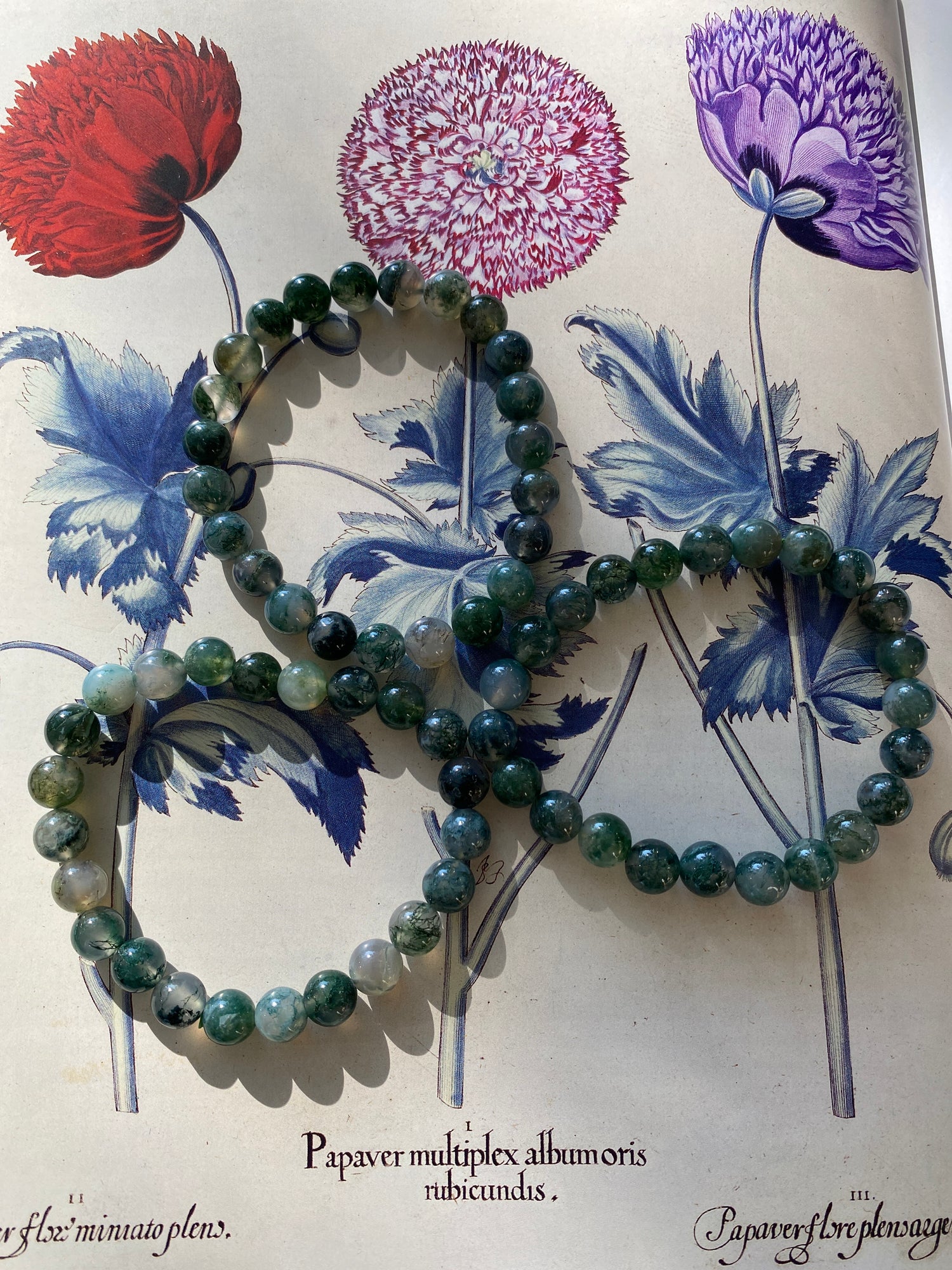 Moss Agate 8mm Stretch Bracelet - Moon Room Shop and Wellness