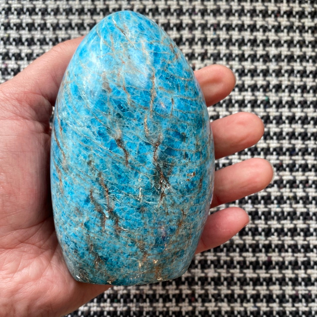 Blue Apatite Freeform 620 g - Moon Room Shop and Wellness