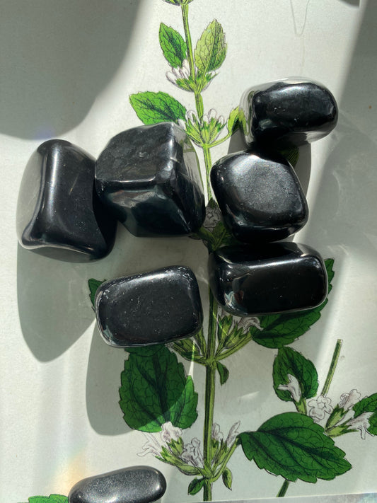 Shungite Tumbled - Moon Room Shop and Wellness