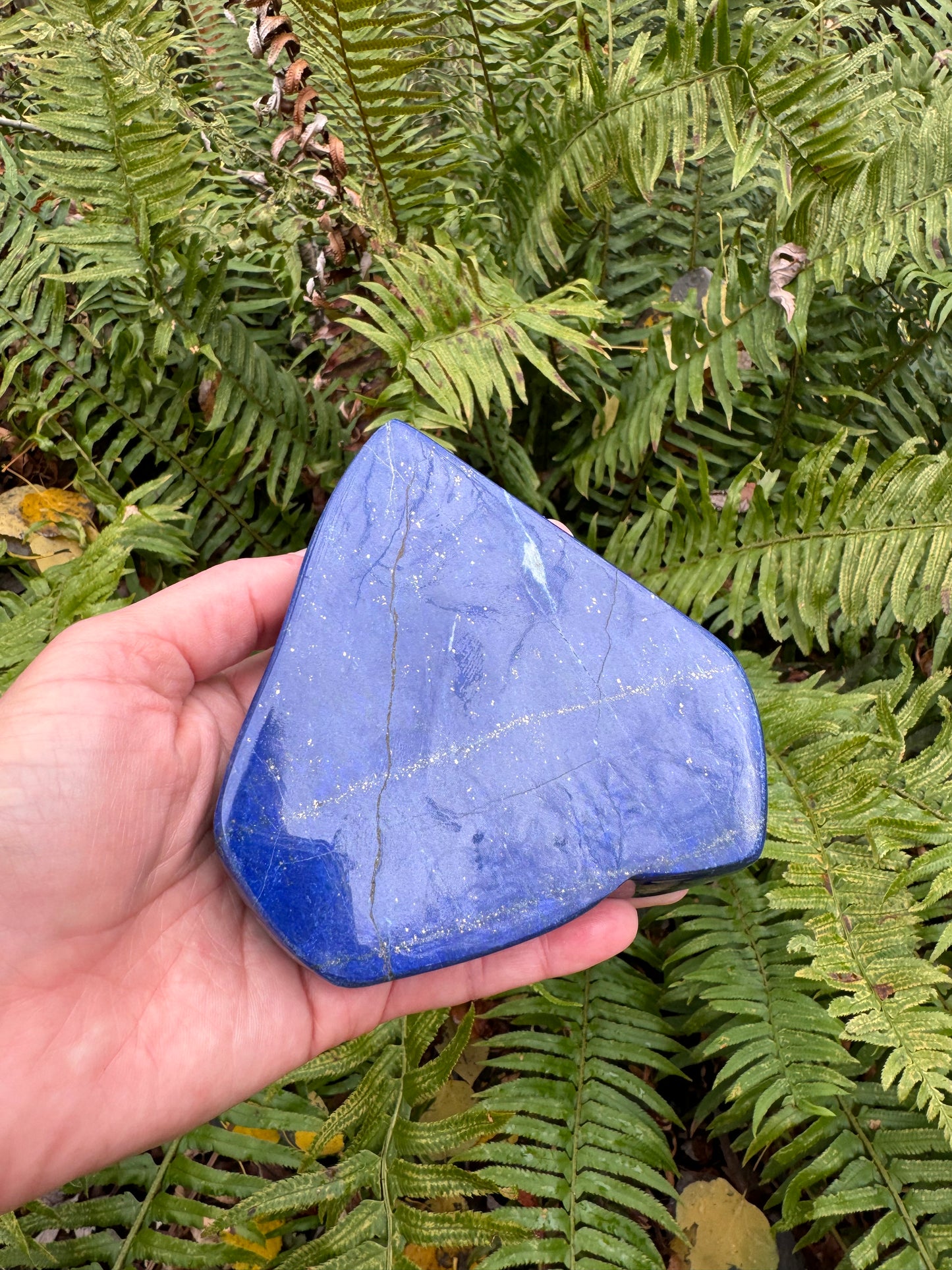 Lapis Lazuli Freeform Afghanistan 1.1 lb - Moon Room Shop and Wellness