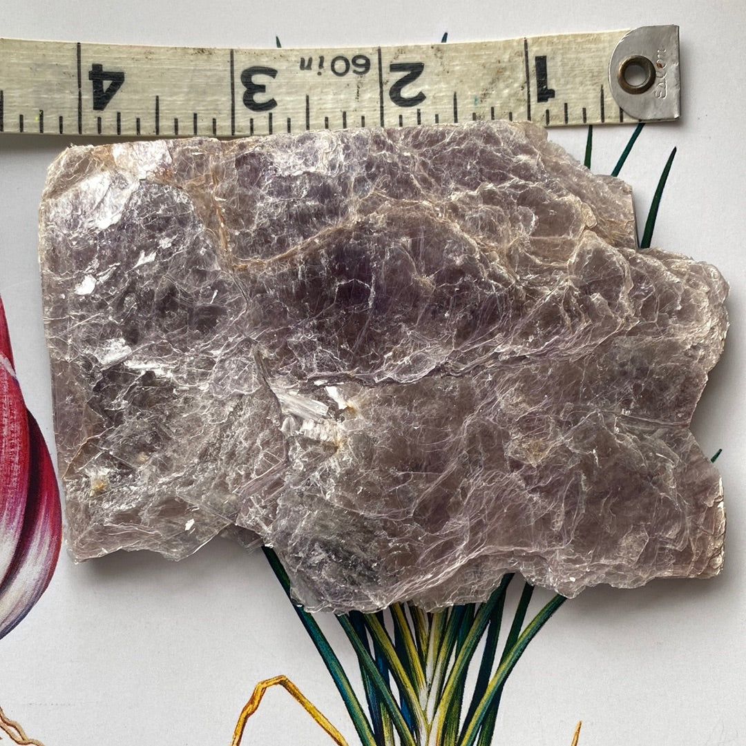 Lepidolite Mica 104 g - Moon Room Shop and Wellness