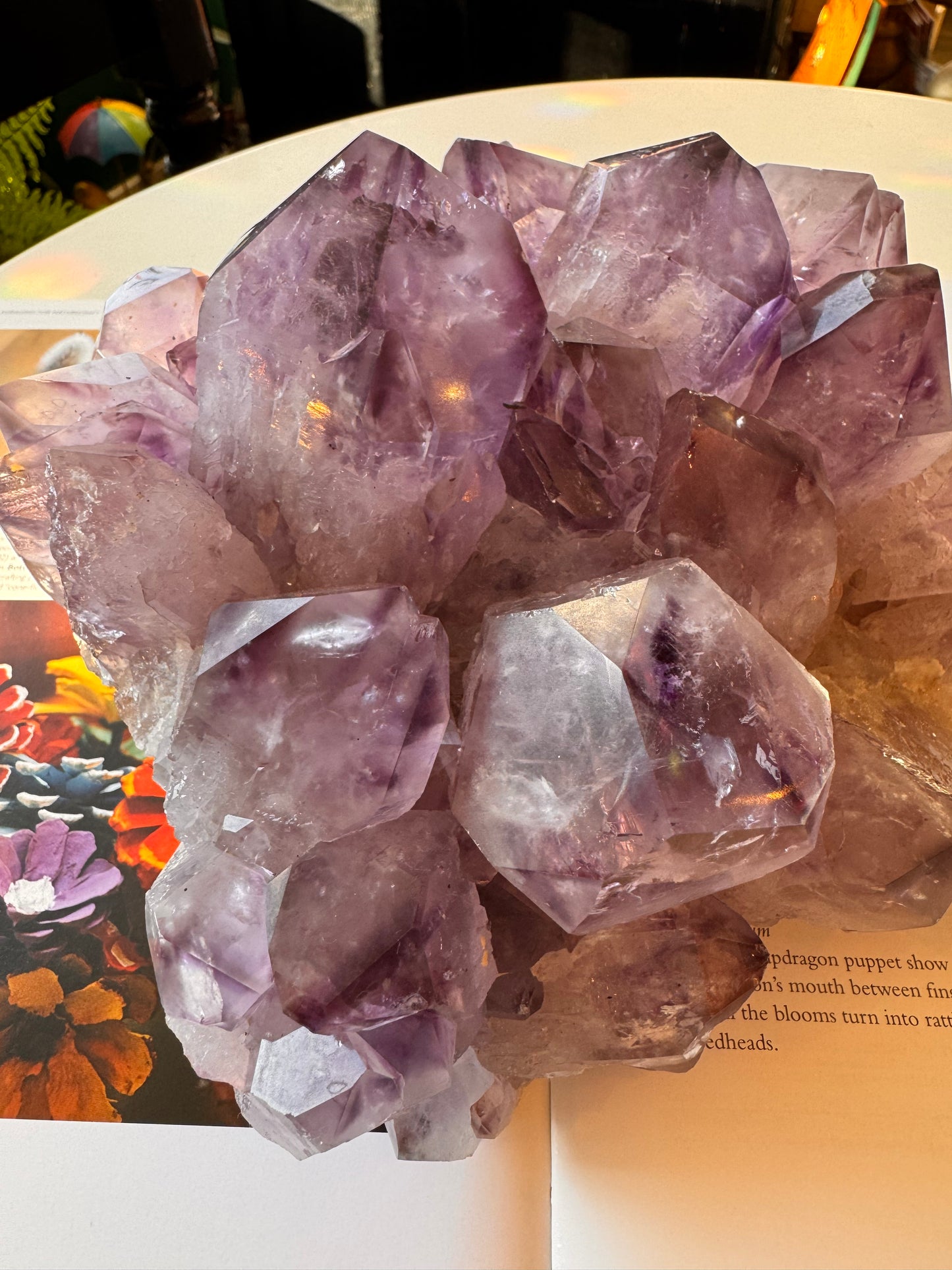 Phantom Amethyst Cluster 6.85 lb Brazil - Moon Room Shop and Wellness