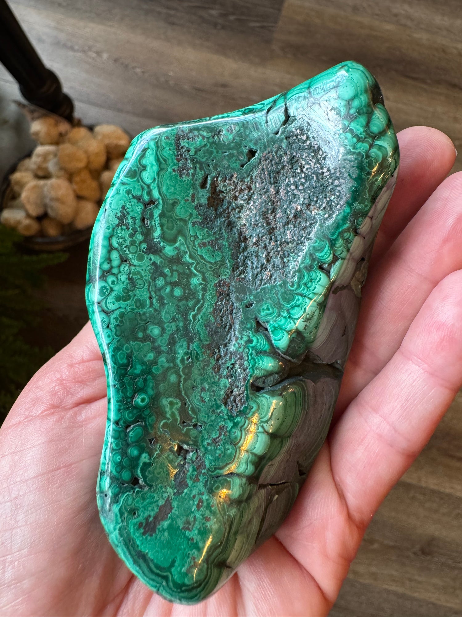 Malachite Freeform 366 g -Congo Polished Beauty! - Moon Room Shop and Wellness