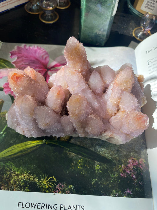 Spirit Quartz Cluster 1.57 lbs South Africa - Moon Room Shop and Wellness