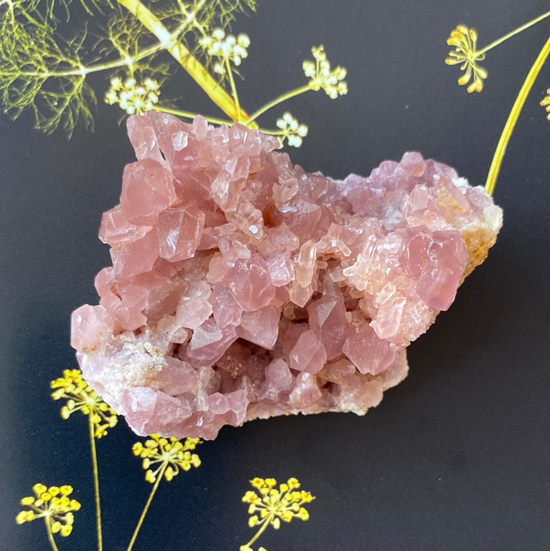 Pink Amethyst Geode - 73 g - Argentina - Moon Room Shop and Wellness
