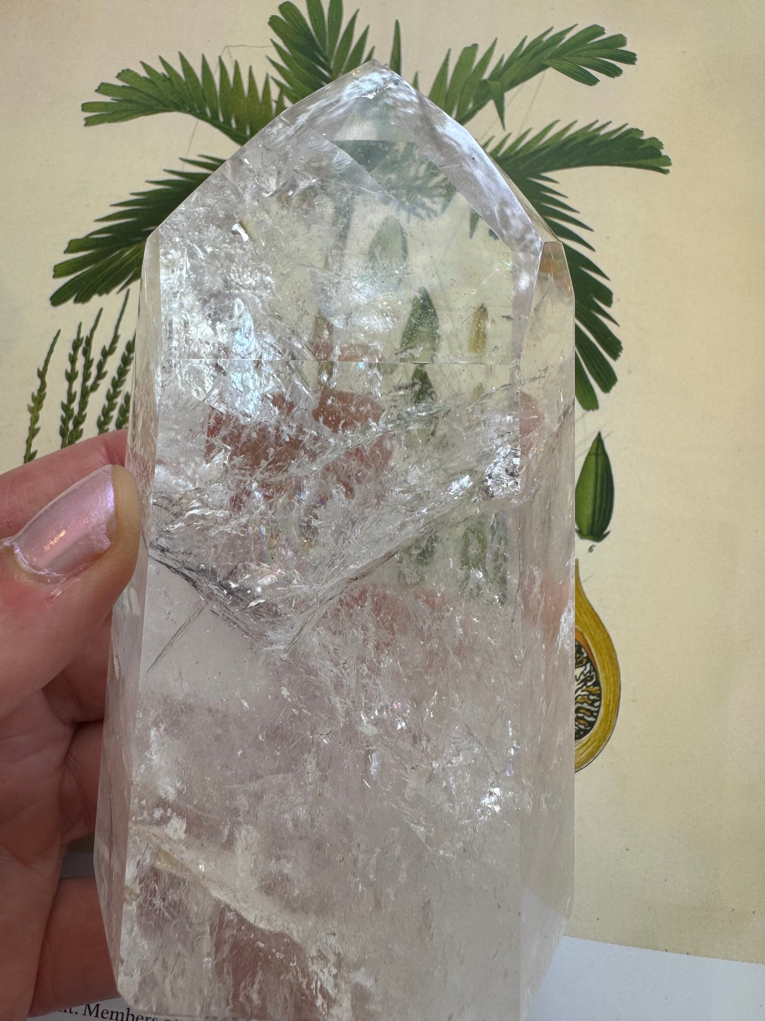 Clear Quartz Tower Brazil Beauty 1.03 lbs - Moon Room Shop and Wellness