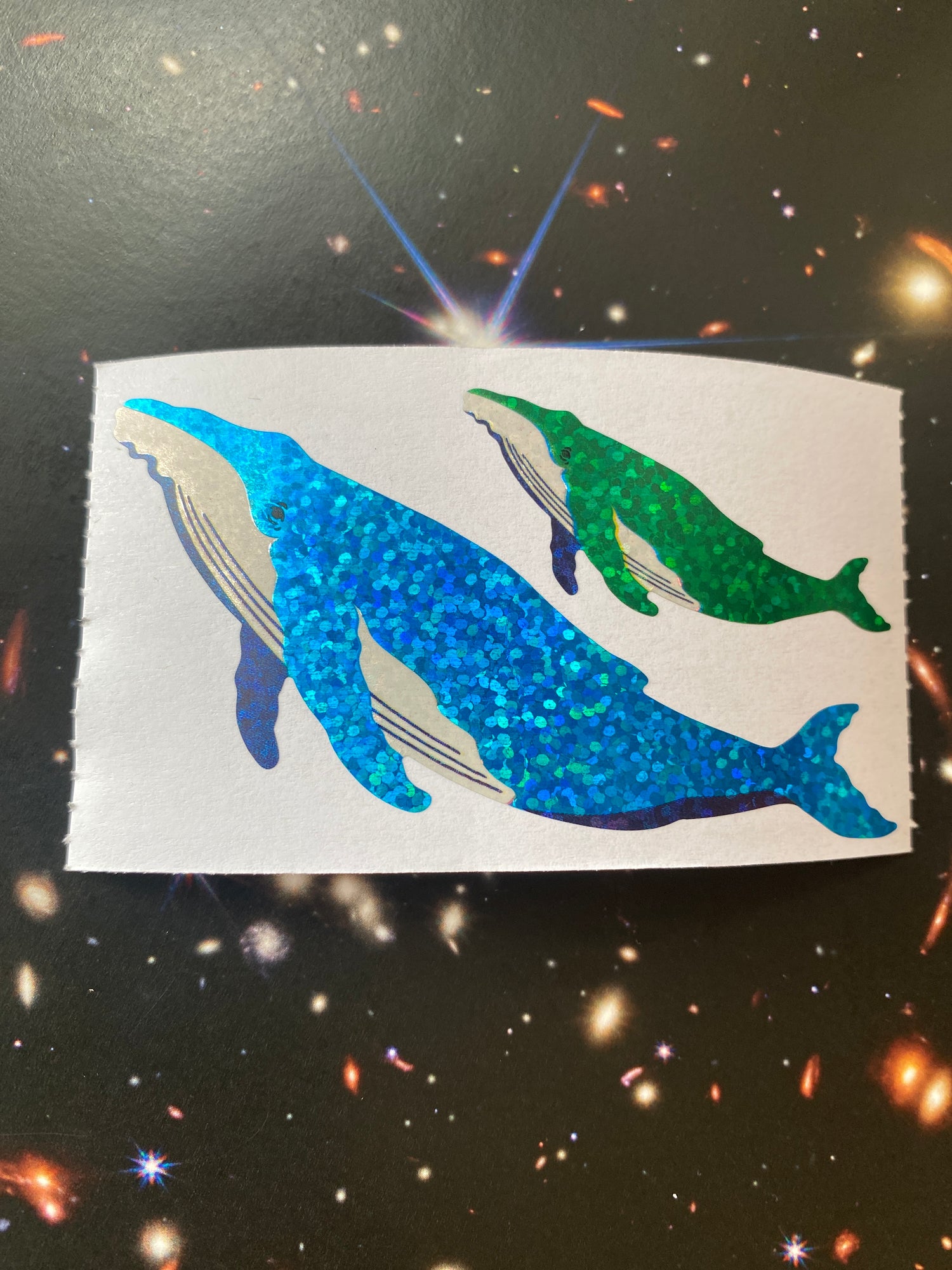 1 Humpback Whale Sticker - Moon Room Shop and Wellness