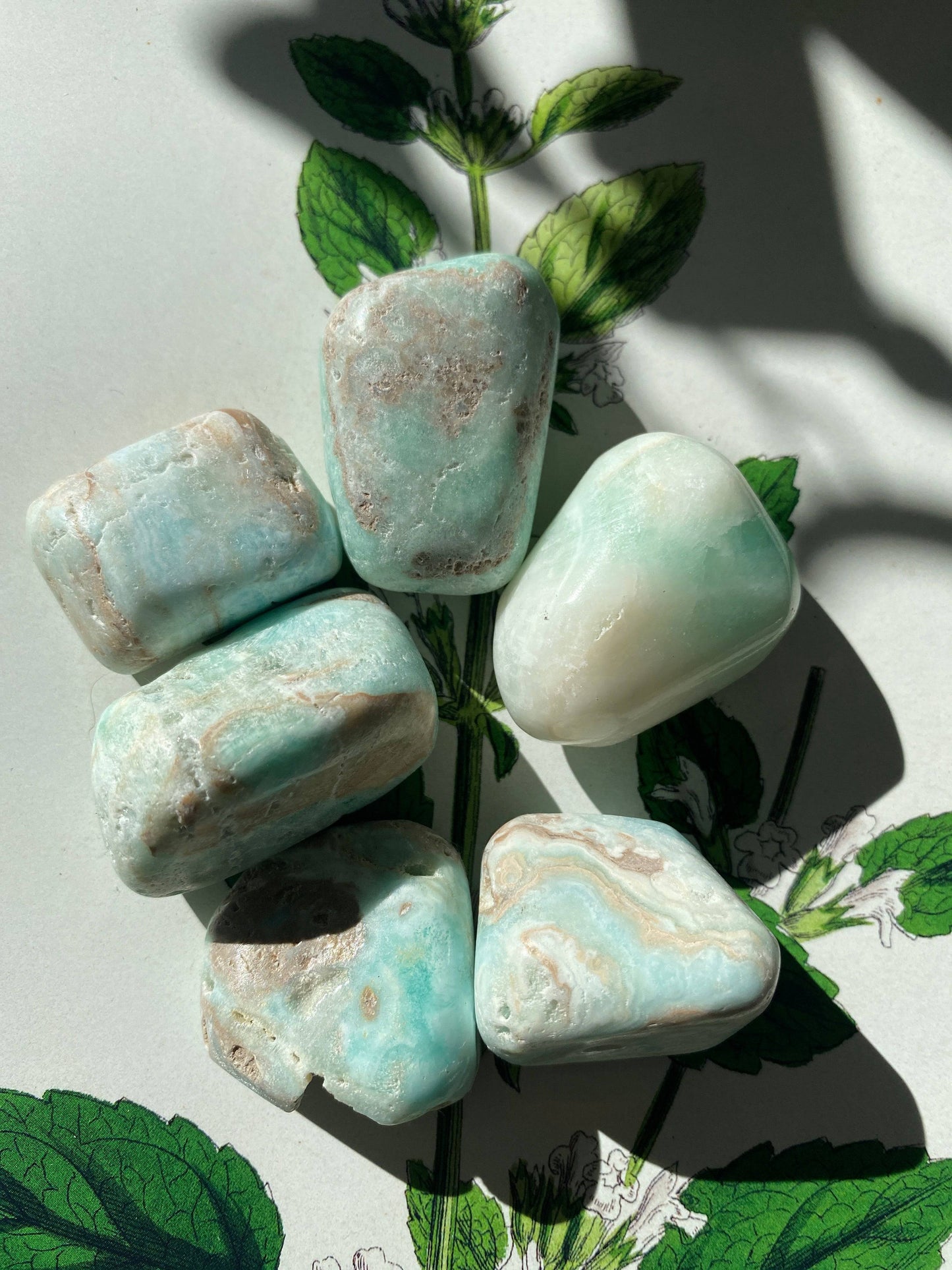 Caribbean Calcite Tumbled - Moon Room Shop and Wellness