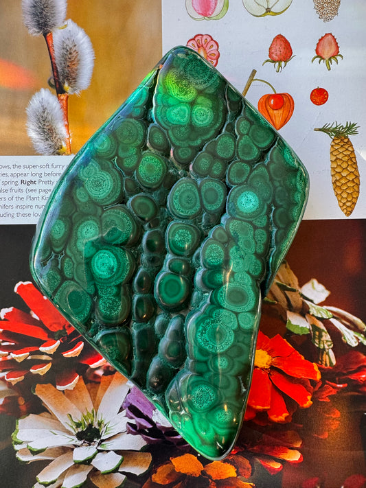 Malachite Freeform Congo 1.10 lb Polished Beauty! - Moon Room Shop and Wellness