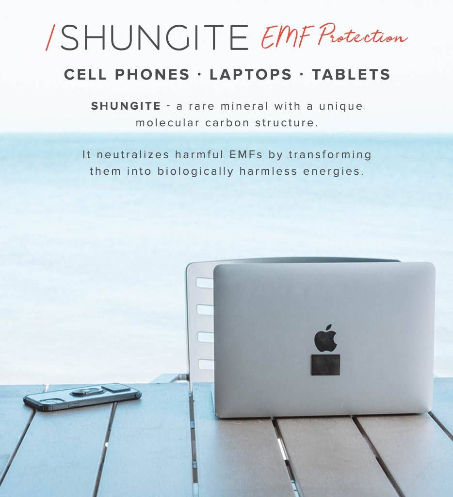 Shungite EMF Shield Set - Moon Room Shop and Wellness