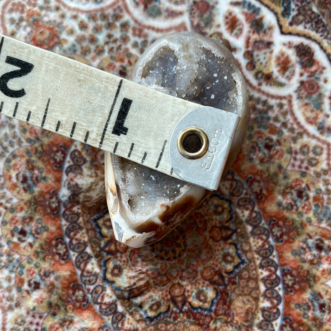 Spiralite Fossilized Gemshells w/ Quartz 44 g - Moon Room Shop and Wellness