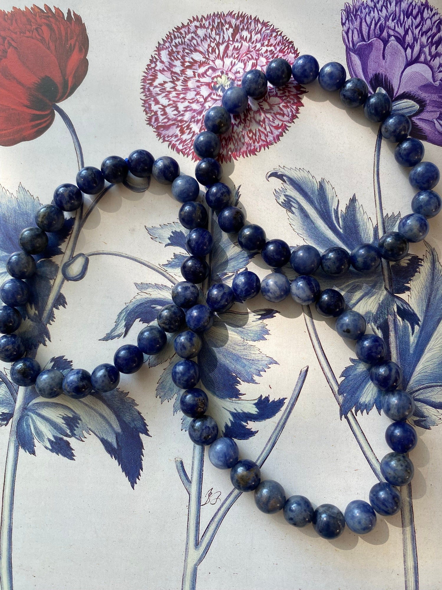 Sodalite Stretch Bracelet 8mm - Moon Room Shop and Wellness